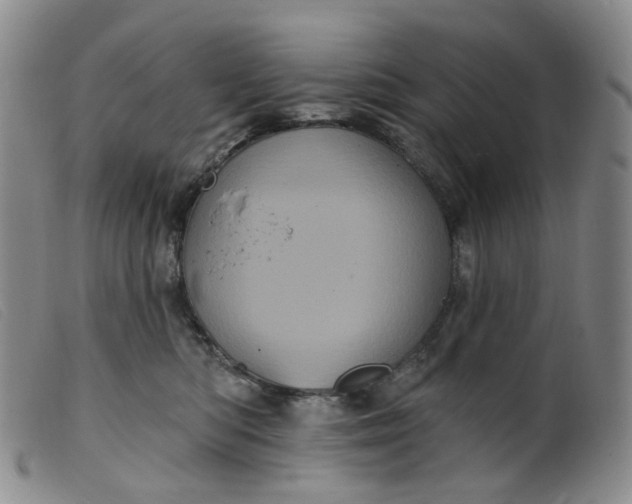 X0000099380422200805221811