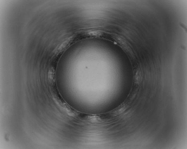 X0000099380424200805221811