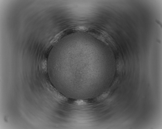 X0000099380425200805221811