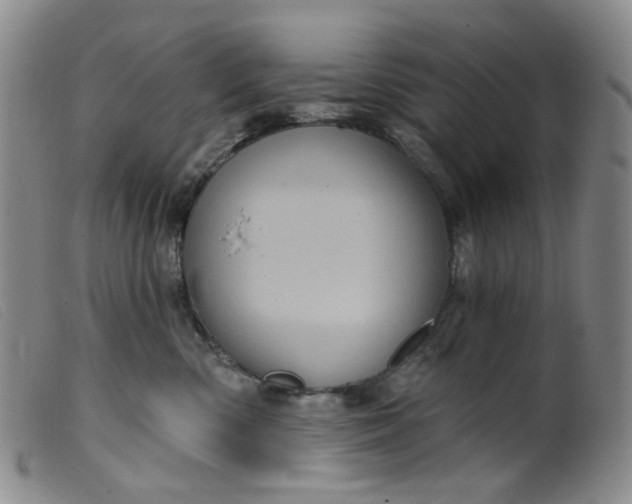 X0000099380426200805221811