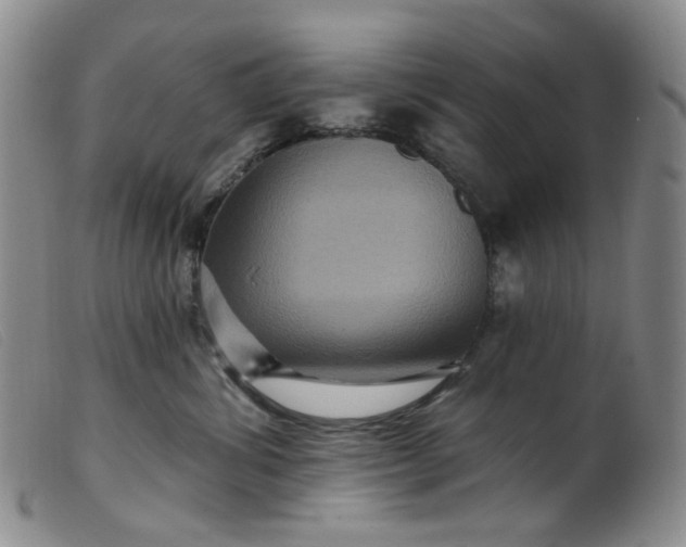 X0000099380428200805221811