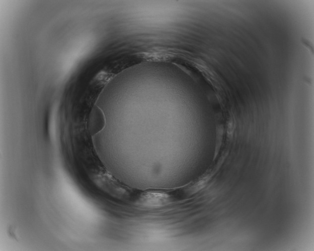 X0000099380429200805221811