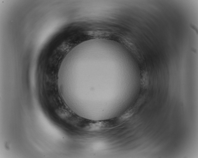 X0000099380430200805221811