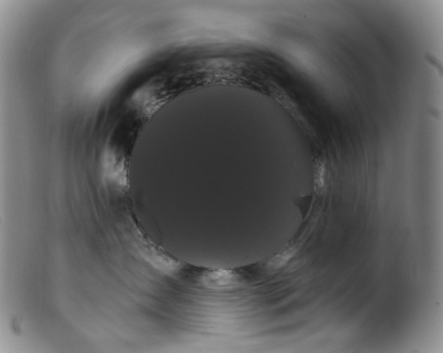 X0000099380431200805221811