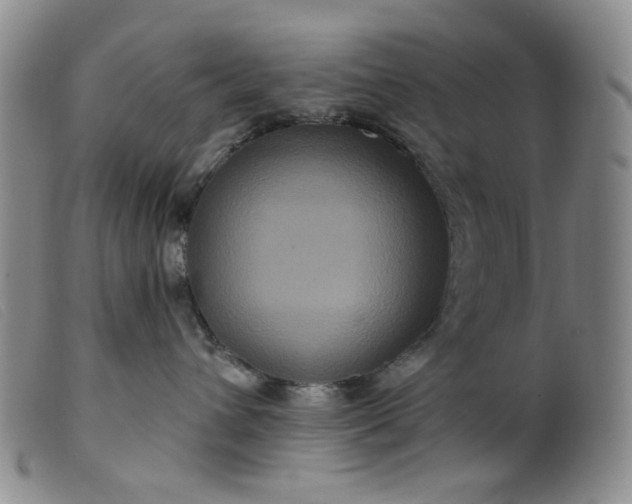 X0000099380432200805221811