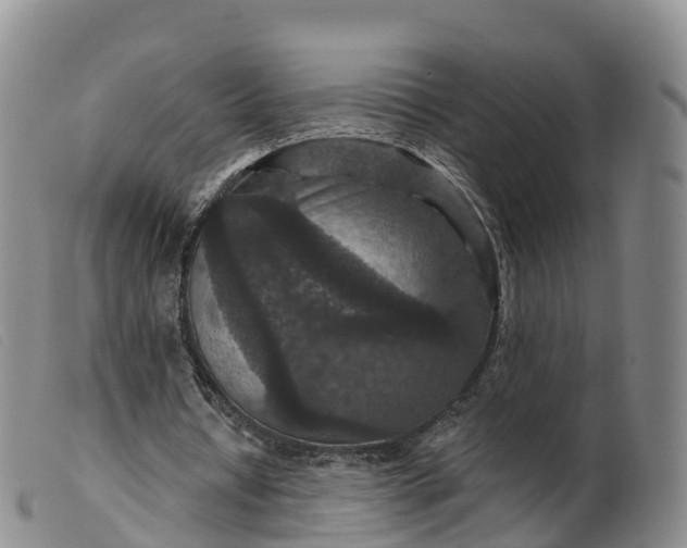 X0000099380434200805221810