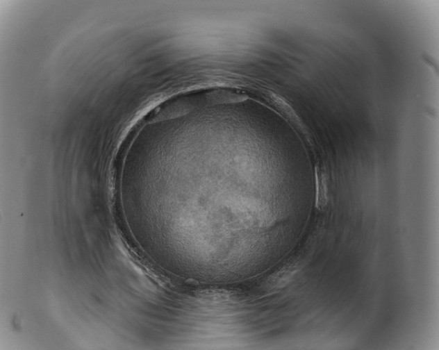 X0000099380435200805221810