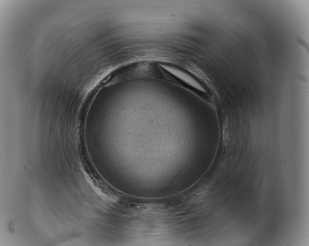 X0000099380436200805221810