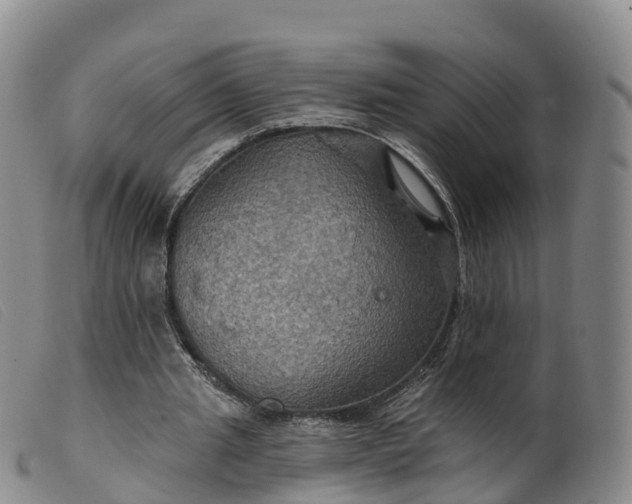 X0000099380437200805221810