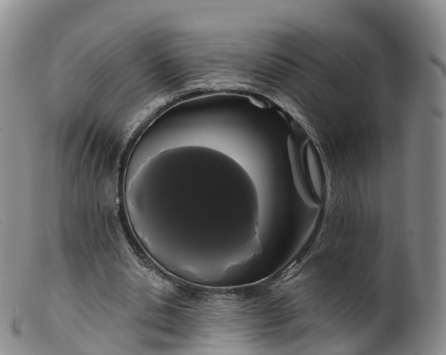 X0000099380438200805221810