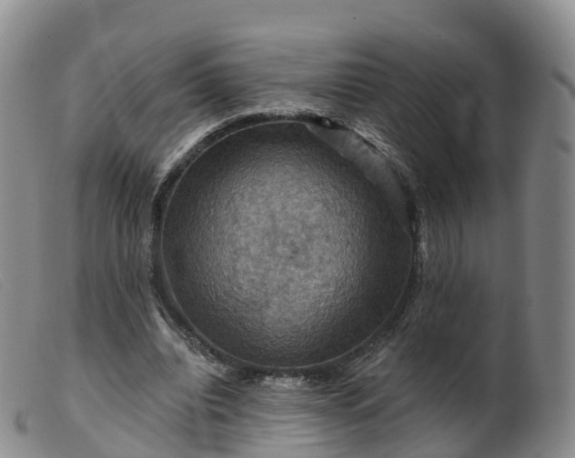 X0000099380440200805221810