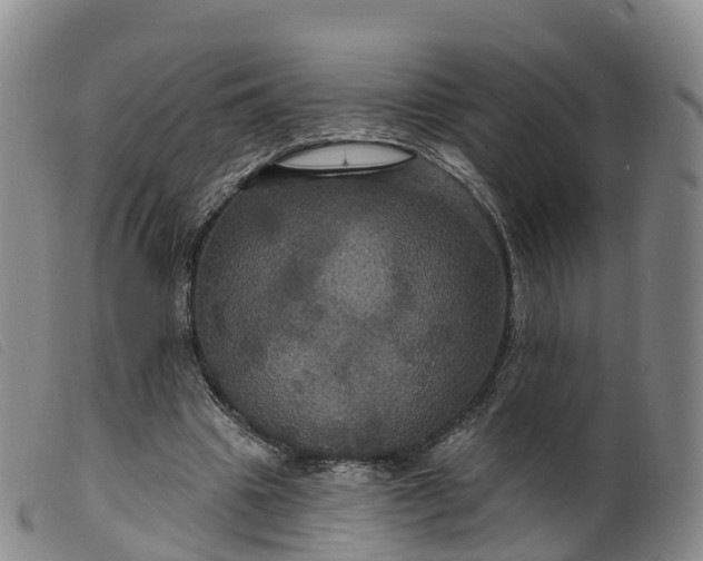 X0000099380441200805221810