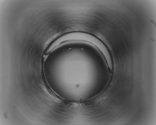 X0000099380442200805221810