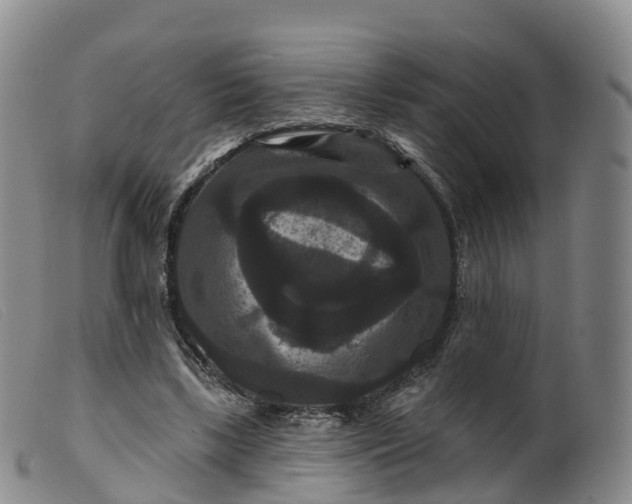 X0000099380443200805221810