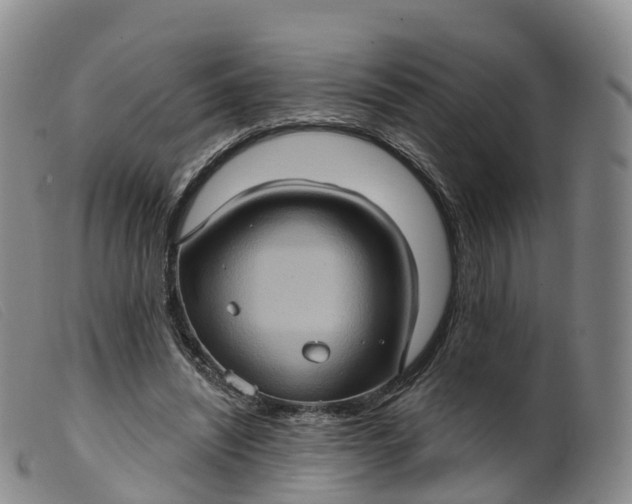 X0000099380444200805221810