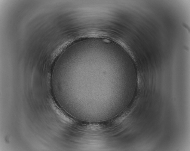 X0000099380445200805221810