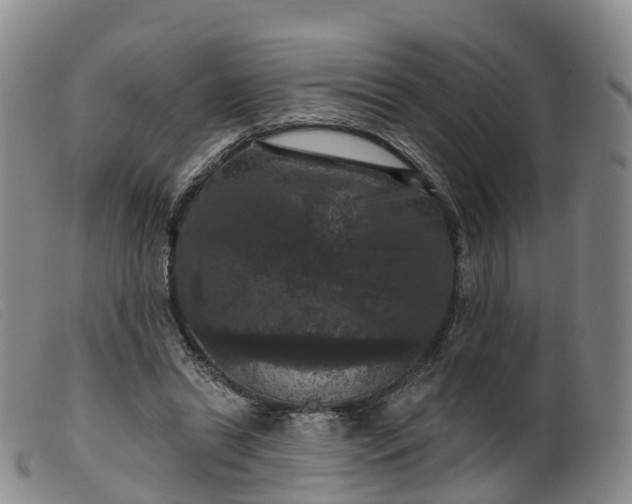 X0000099380446200805221810