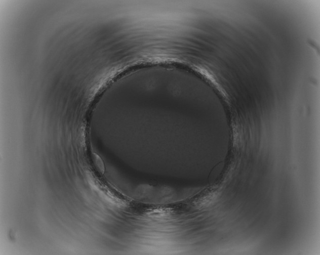 X0000099380447200805221810