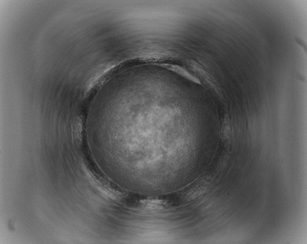 X0000099380448200805221810