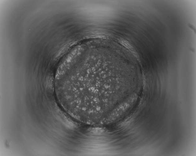 X0000099380449200805221810