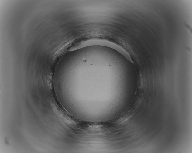 X0000099380450200805221810