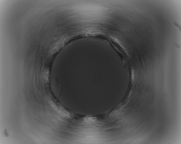 X0000099380451200805221810