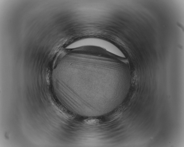 X0000099380452200805221810