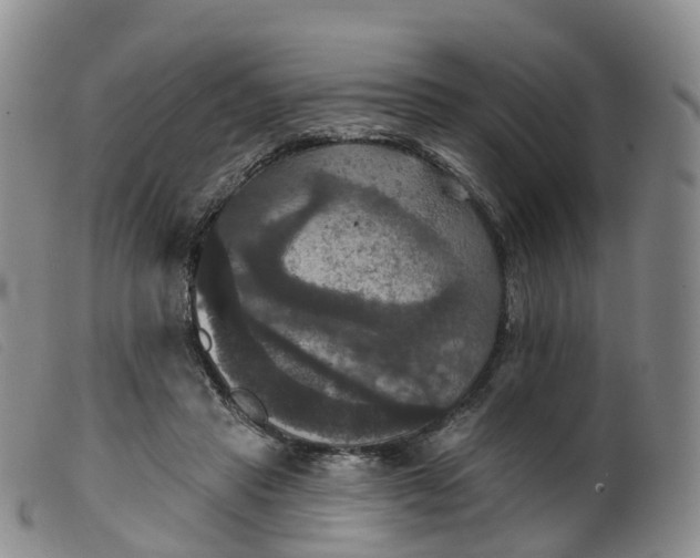 X0000099380453200805221810