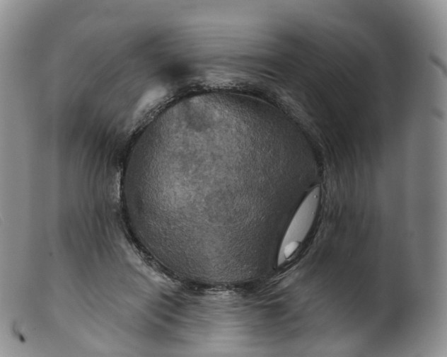 X0000099380454200805221810