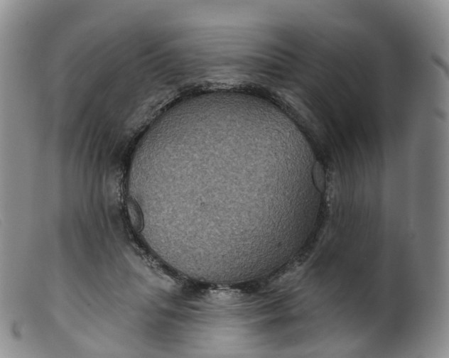 X0000099380455200805221810