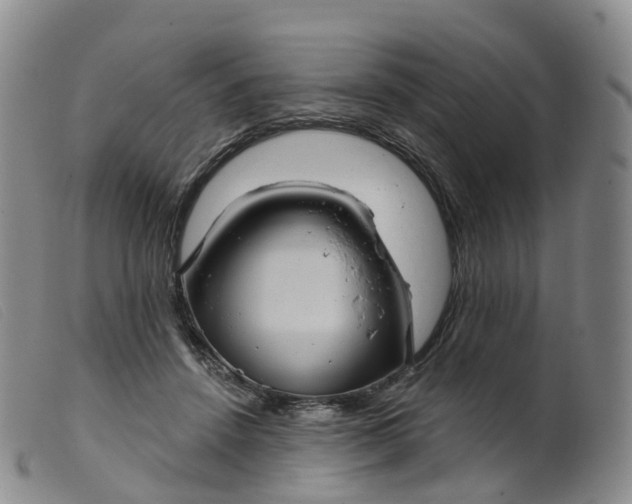 X0000099380456200805221810