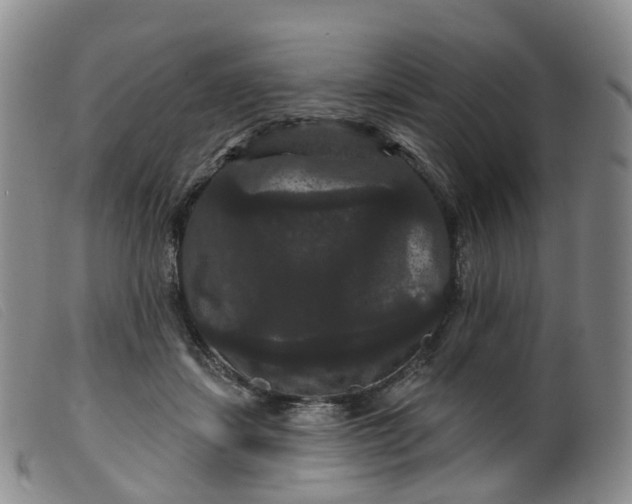 X0000099380459200805221810