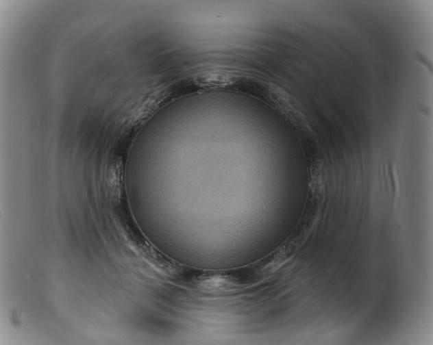 X0000099380460200805221810