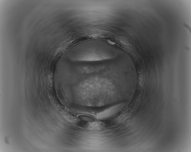 X0000099380461200805221810