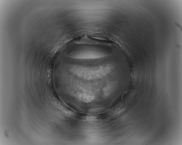 X0000099380462200805221810