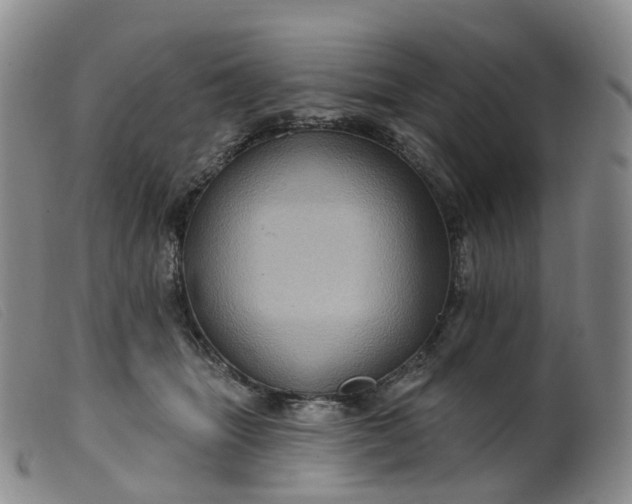 X0000099380463200805221810