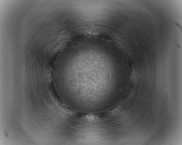 X0000099380464200805221810