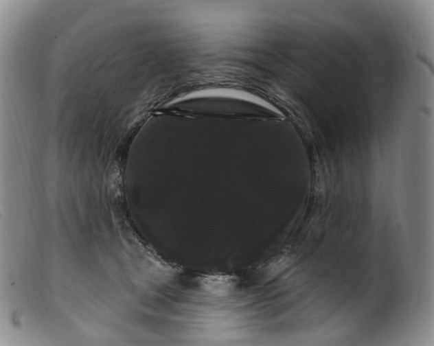 X0000099380465200805221810