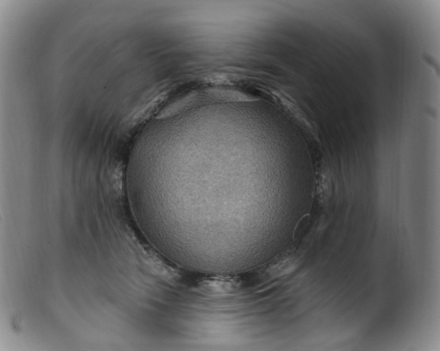 X0000099380466200805221810