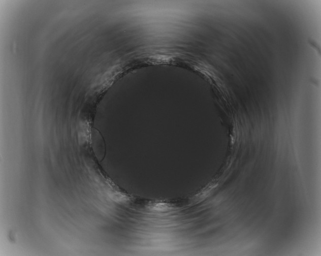 X0000099380467200805221810