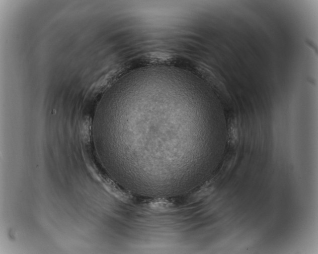 X0000099380468200805221810