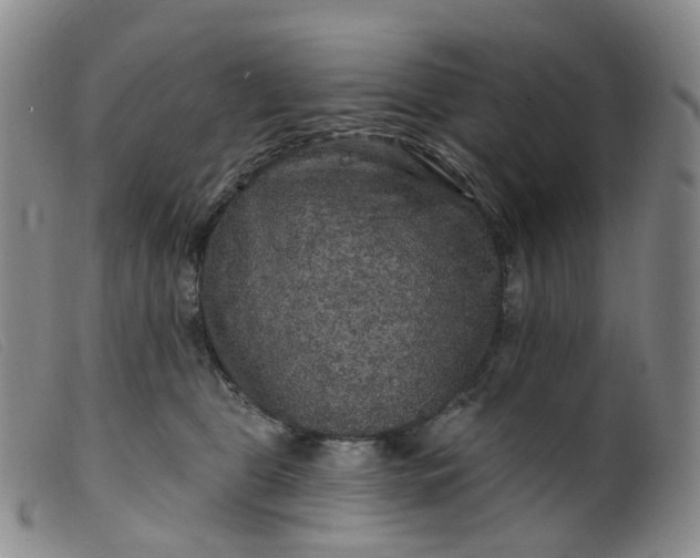 X0000099380469200805221810