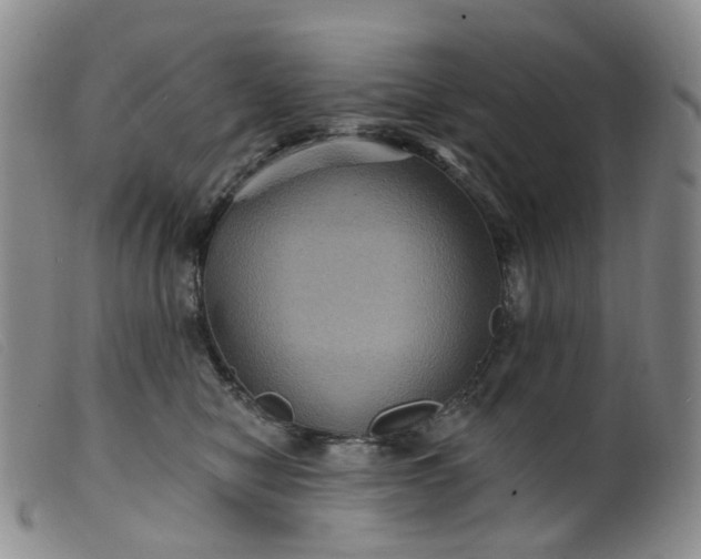 X0000099380470200805221810