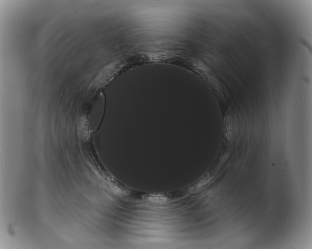 X0000099380471200805221810