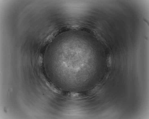 X0000099380472200805221810