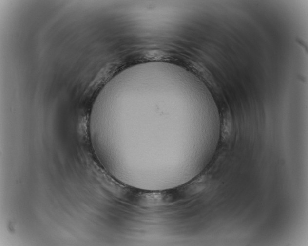 X0000099380473200805221810