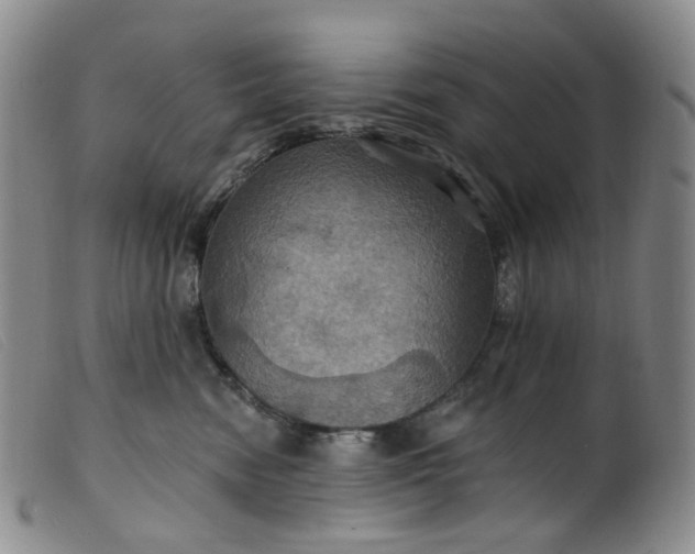 X0000099380474200805221810