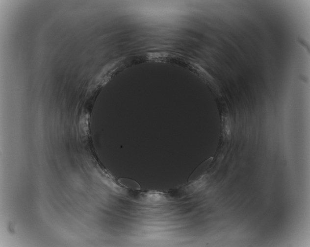 X0000099380475200805221810