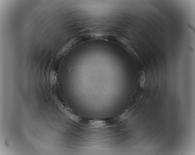 X0000099380476200805221810