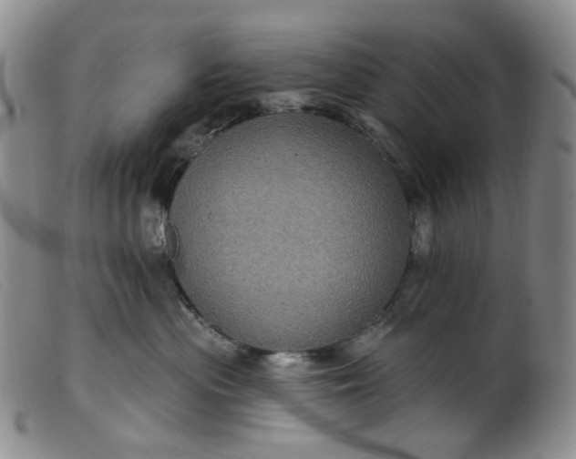 X0000099380477200805221810